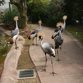 令和に今までの生涯を振り返るの画像