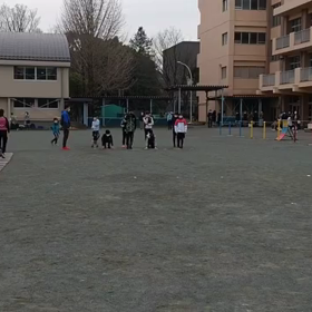 3月26日 ダッシュの場④の画像