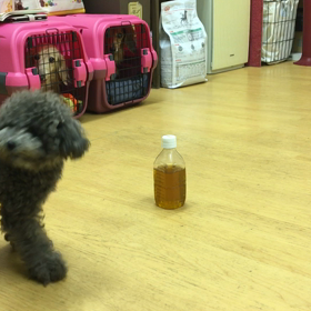 上手いっ！！の画像