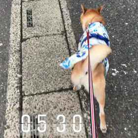 雨んぽでした。の画像