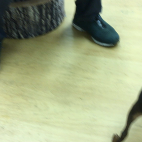 集中力は二の次じゃ。の画像