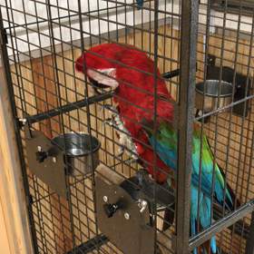 バードホテルの画像