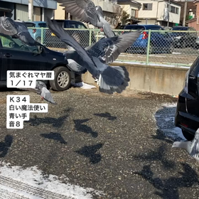 K34 癒しは許しの画像