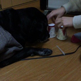 惚け防止策の画像