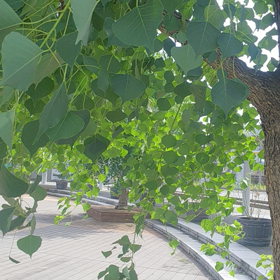 俺の若い頃 5の画像