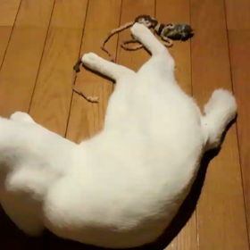 大好き！ねずみちゃん2の画像