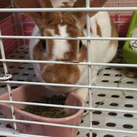 小さいけど、大きな幸せ♡の画像