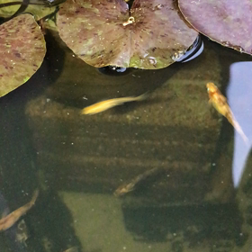 三色系統と螺鈿光でどうなる？の画像