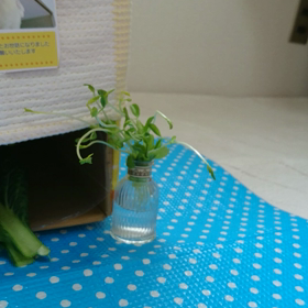 秘密の隠れ家に父が潜入(笑)の画像