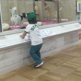 そのうちの画像