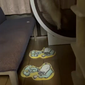 夜の運動会の画像