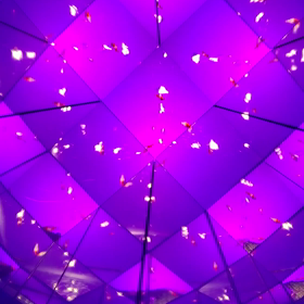 アク和リクムの画像