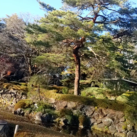 理想的の正月ってる？？の画像