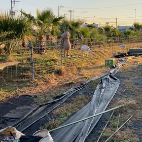 morning like eveningの画像