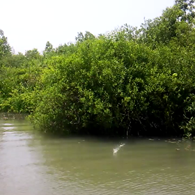 アクションのコツは？(movie)の画像