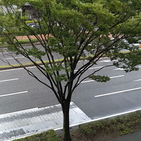 台風9号、10号の画像