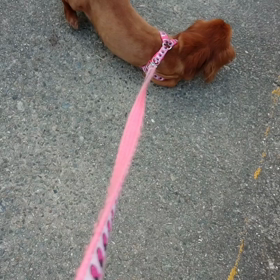 朝から暑い⤵️⤵️の画像