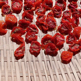 声日記　の画像