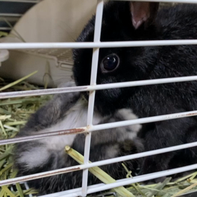 授乳タイム　ネロ家の場合の画像