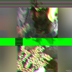 ベランダ水槽に魚を追加の画像