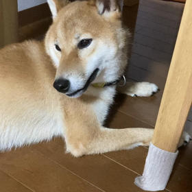 親バカ炸裂の画像