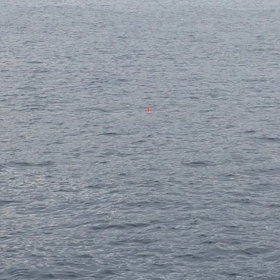 釣り納めの画像