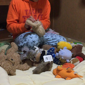 ぬいぐるみハイ♡の画像