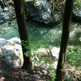 自分の得意の画像