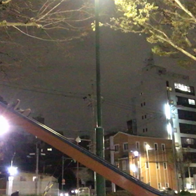 昨日のコーチ達！！の画像