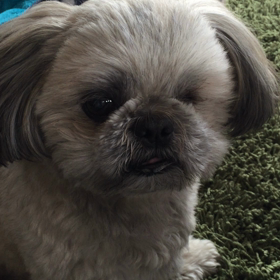 食べてますの画像