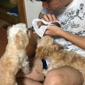 プープー 長女は無事に自宅出産の画像