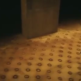 fast 飛行艇 - king gnuの画像