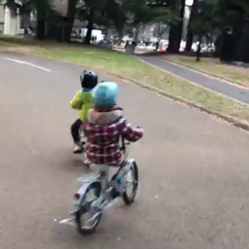 ぐったりの画像