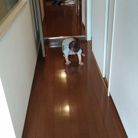 最高歩数記録？！の画像