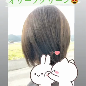 オリーブブラウンの画像