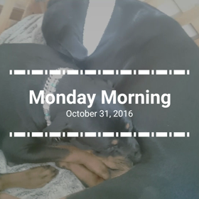 ♡お乳離れと　ランダム動画〜～♡の画像