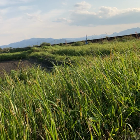 HC85試運転の画像