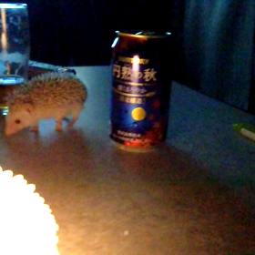 ♯vs割り箸！(@￣□￣@;)！！♯の画像