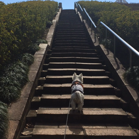 昨夜は。の画像