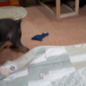 ぷーちゃんの言い分の画像