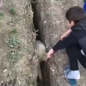 一言礼くらい言わんものかね？の画像