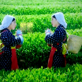 でました！！の画像