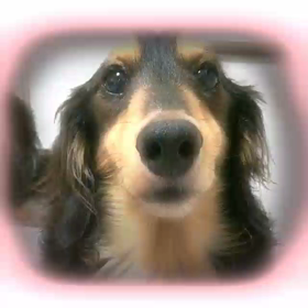 凄いアプリ！！の画像