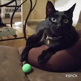 あそぼ～❕の画像