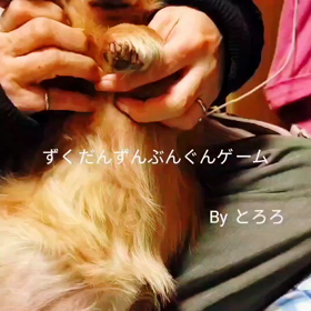 ずくだんずんぶんぐんゲームをとろろがやってみたが…の画像