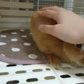 反抗期突入❗の画像