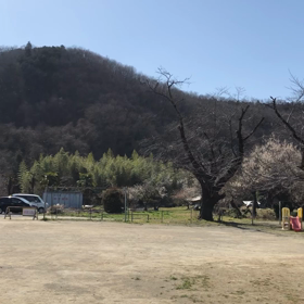 埼玉のんのんびよりの画像
