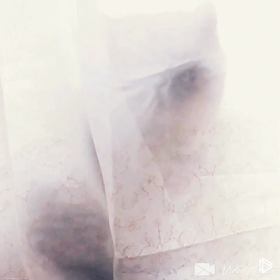 獲物を狙うの画像