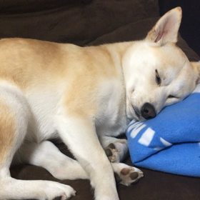 寒い日はエアコンの下にの画像