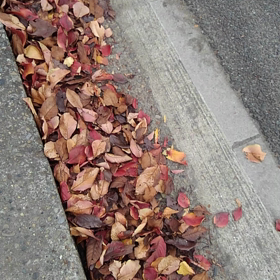 ありがたや❤️の画像